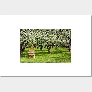 Apple garden Posters and Art